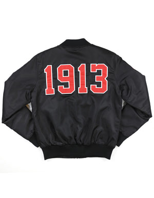 Delta Sigma Theta Bomber Jacket II