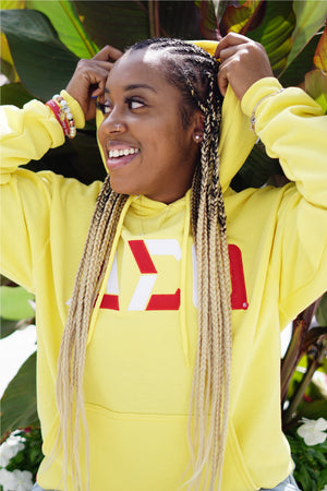 Delta Sigma Theta Color Block Greek Lettered Hoodie