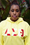 Delta Sigma Theta Color Block Greek Lettered Hoodie