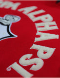 Kappa Alpha Psi Chenille Shield Hoodie