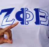 Zeta Phi Beta Color Block Greek Lettered Hoodie