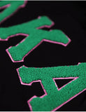 AKA Chenille Shield Hoodie - Alpha Kappa Alpha