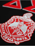 Delta Chenille Shield Hoodie - Delta Sigma Theta