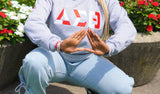 Delta Sigma Theta Color Block Greek Lettered Hoodie