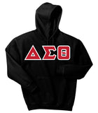 Delta Sigma Theta 3 Greek Letter Hoodie